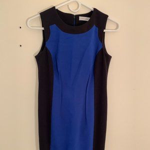 Calvin Klein Color Block Sheath Dress Size 2P